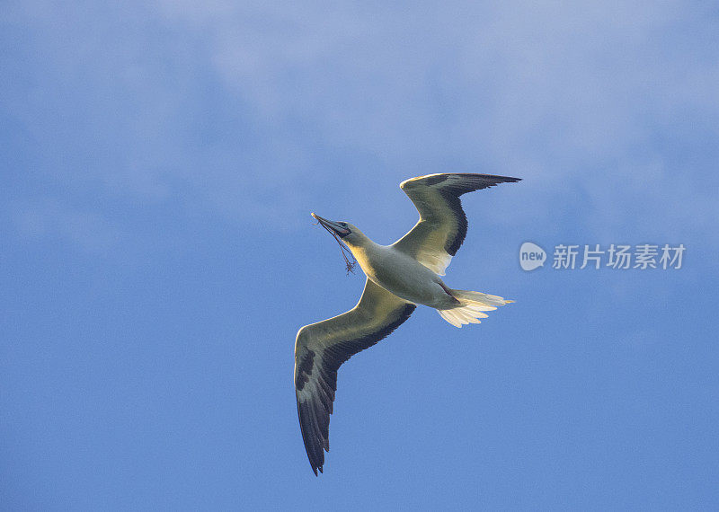 飞行成绩最差的人