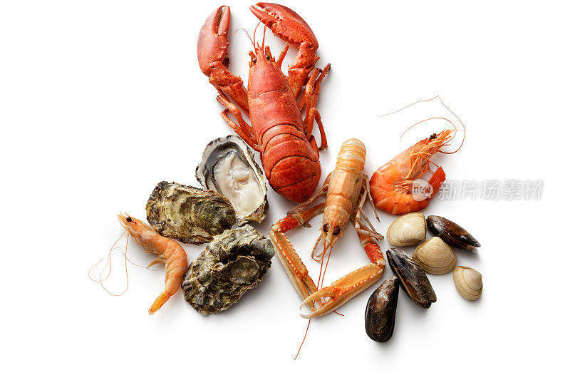 海鲜:龙虾，海螯虾，虾，牡蛎，贻贝和白蛤