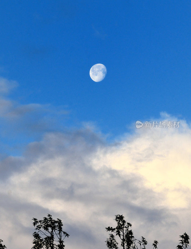 晨光月亮与云，Coquille，俄勒冈州，Coos县