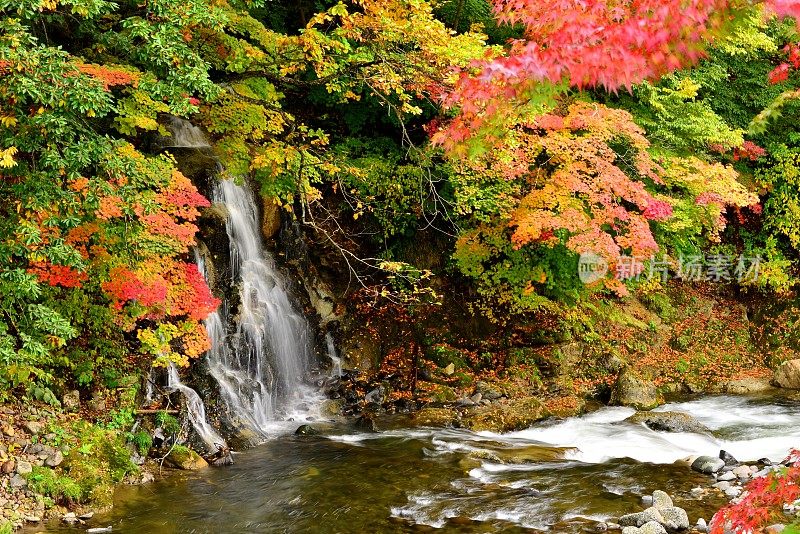 瀑布和秋叶在中野百山，黑石，青森县