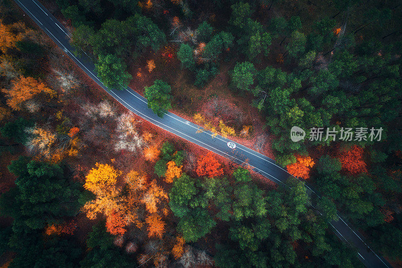 鸟瞰图的道路在美丽的秋天森林。令人惊叹的景观:空旷的乡村道路，白天树木长着绿色、红色和橙色的叶子。高速公路穿过公园。俯视图从飞行的无人机。自然