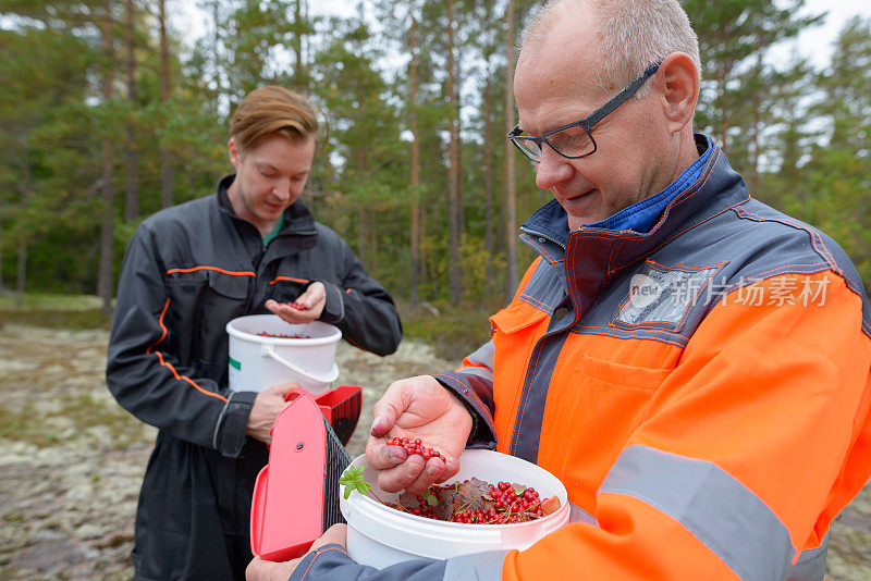 一个成熟的男人和一个年轻的男人一起在森林里工作