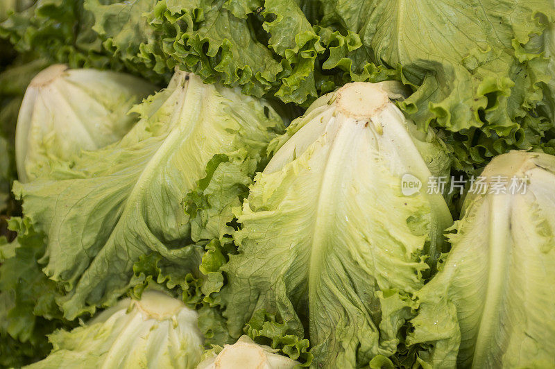 农贸市场的有机生菜特写