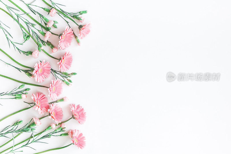 白色背景上的粉红色花朵。平躺，俯视图
