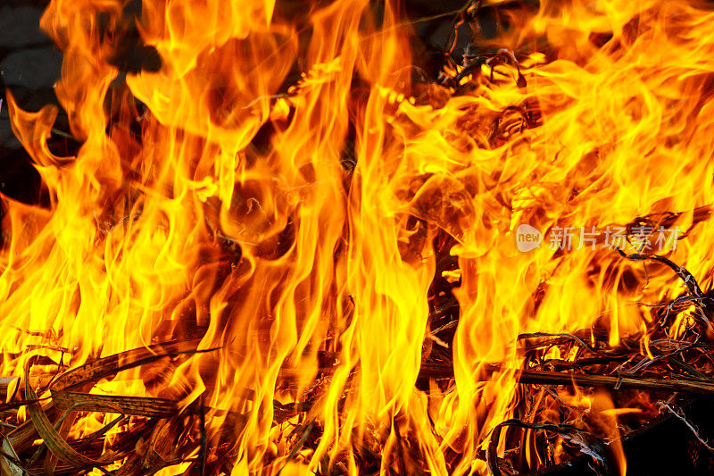 篝火，白烟，炽热的煤和火的微距镜头。燃烧的树枝和木头。