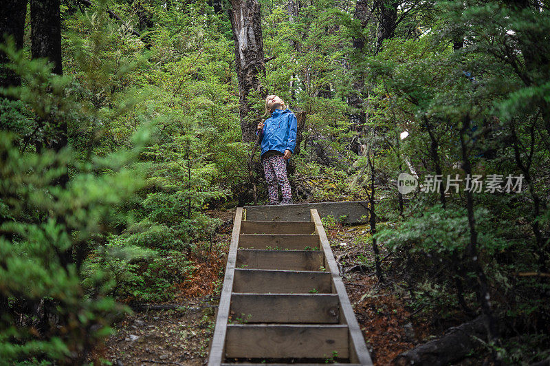 年轻的新西兰女性布什徒步旅行