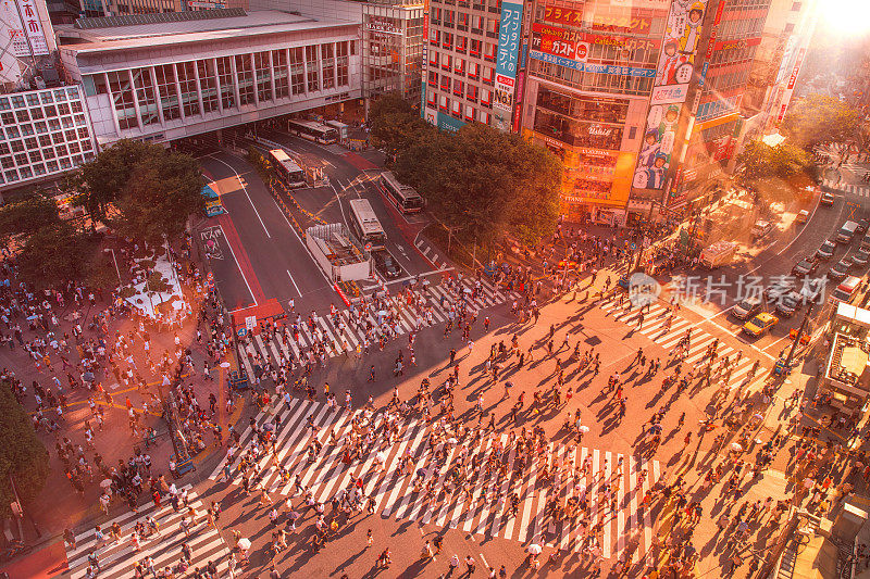 日本东京涩谷鸟瞰图