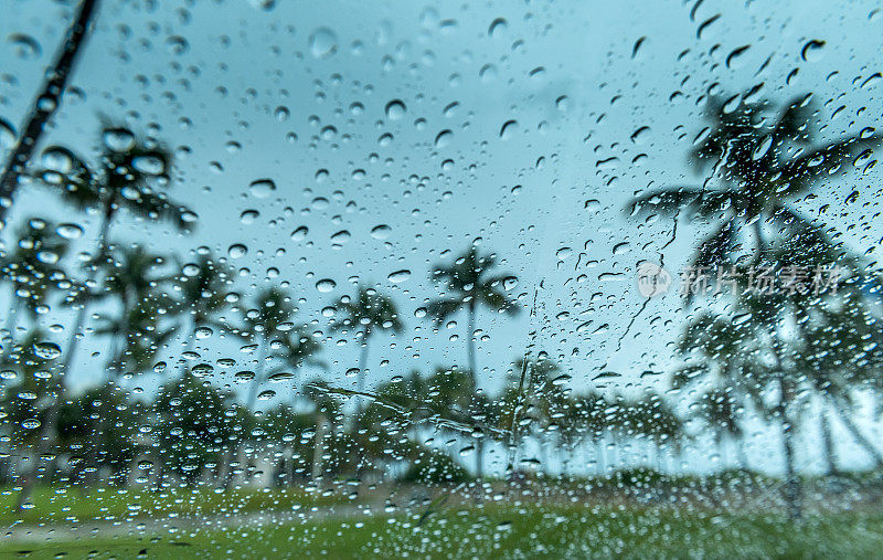 多雨的迈阿密