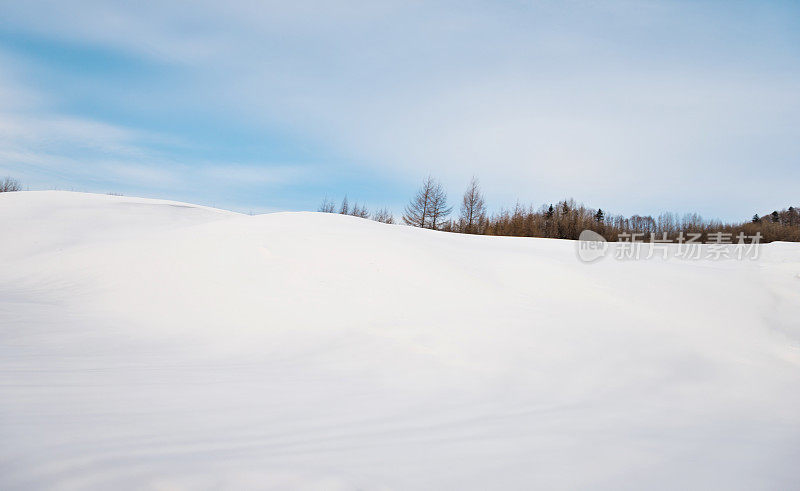 山上覆盖着雪