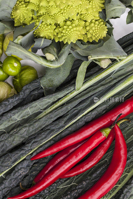 有机蔬菜-托斯卡纳羽衣甘蓝，番茄，辣椒和甘蓝