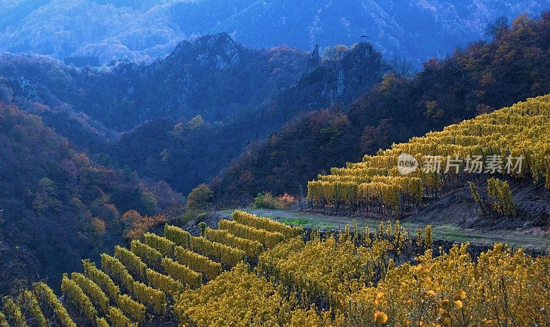 阿赫尔山谷的葡萄园