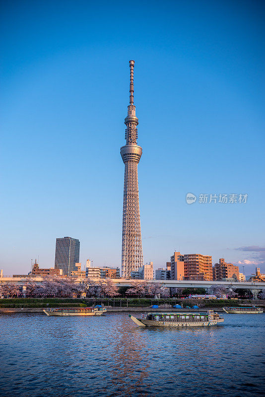 东京天空树，日本天际线在Sumida河拂晓