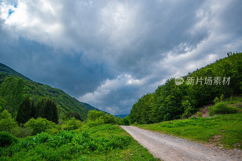 蜿蜒的道路在老山或斯达拉平原的乡间穿行