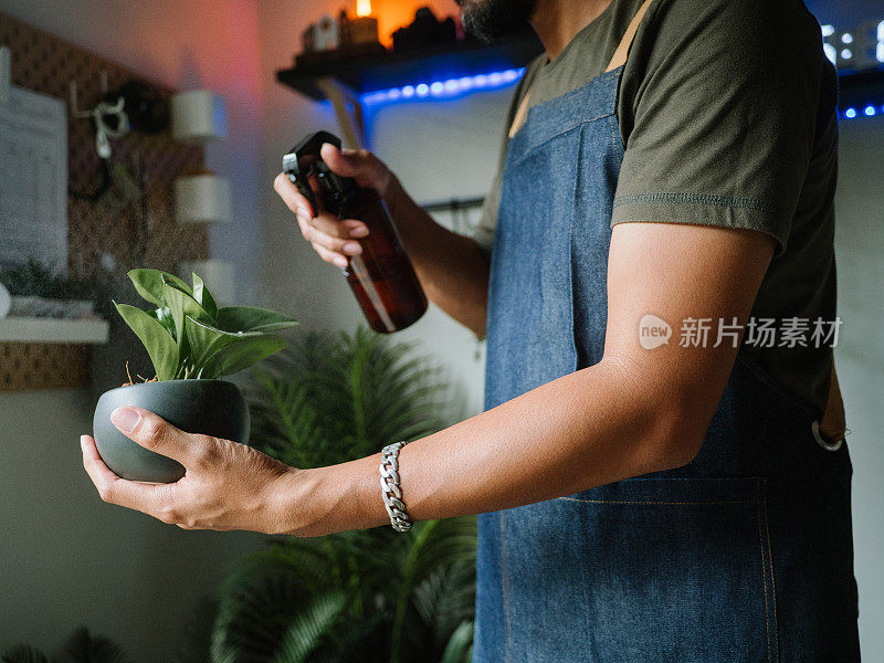 时髦的亚洲男人在家给室内植物浇水