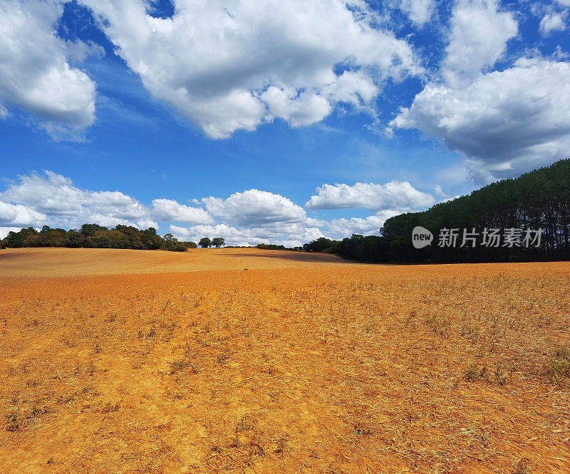 英国中部沃里克郡大田农场农业