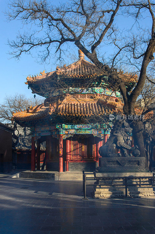 寺庙里有许多装饰的中国古典建筑。