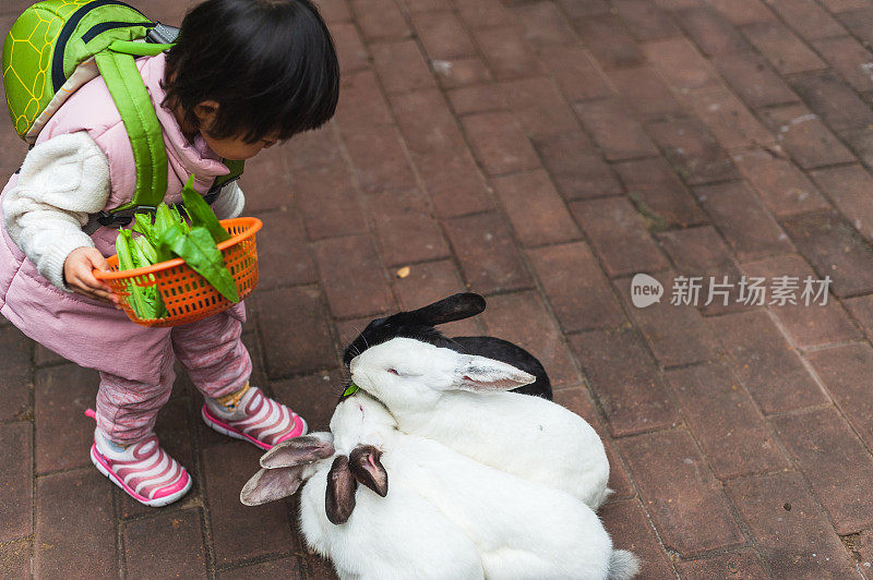 一个亚洲女孩在喂兔子