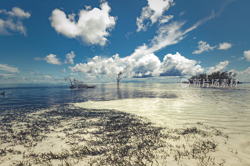 马尔代夫水景观