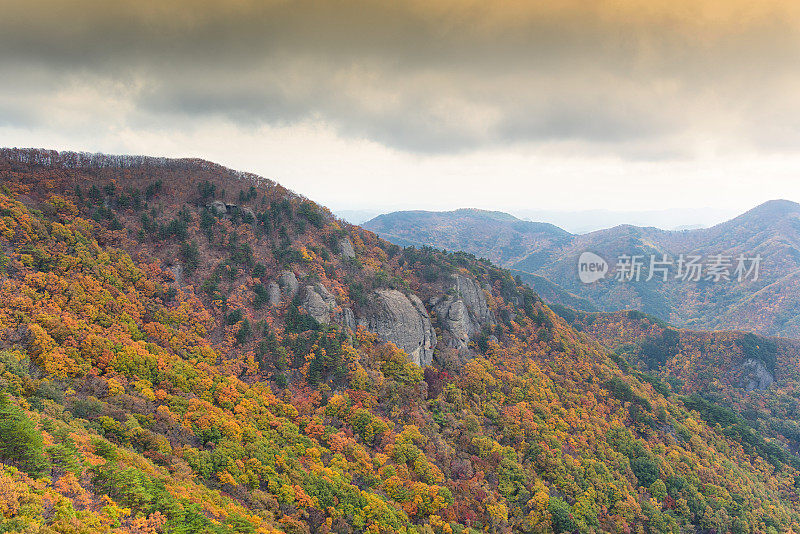 韩国的秋山