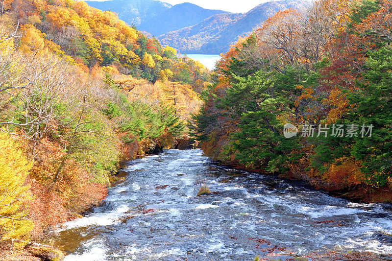 龙头瀑布秋天，日光，日光国家公园