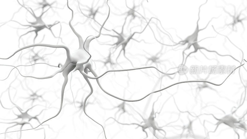 白色的神经元系统