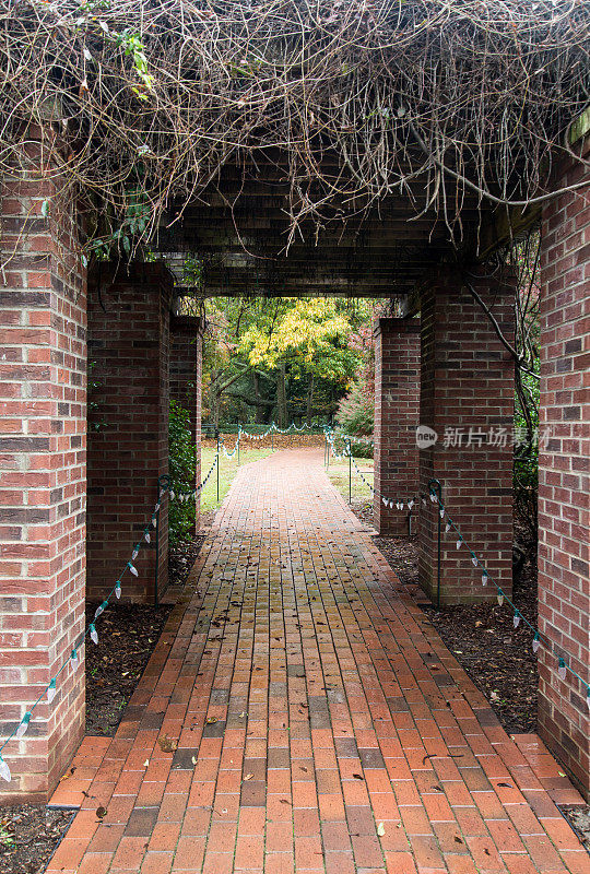 位于南卡罗来纳州克莱姆森公共花园的砖砌拱门