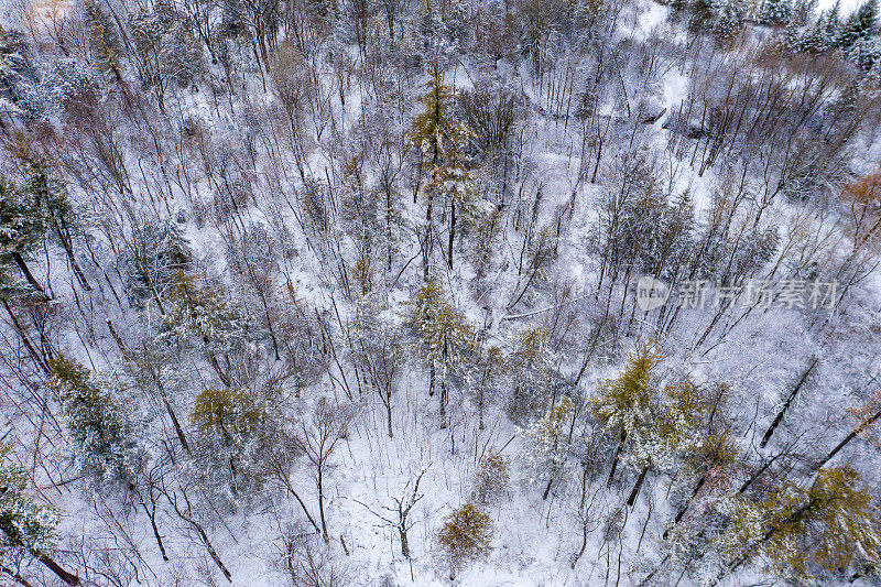鸟瞰图的米尔池塘公园在里士满山在冬天，安大略省，加拿大