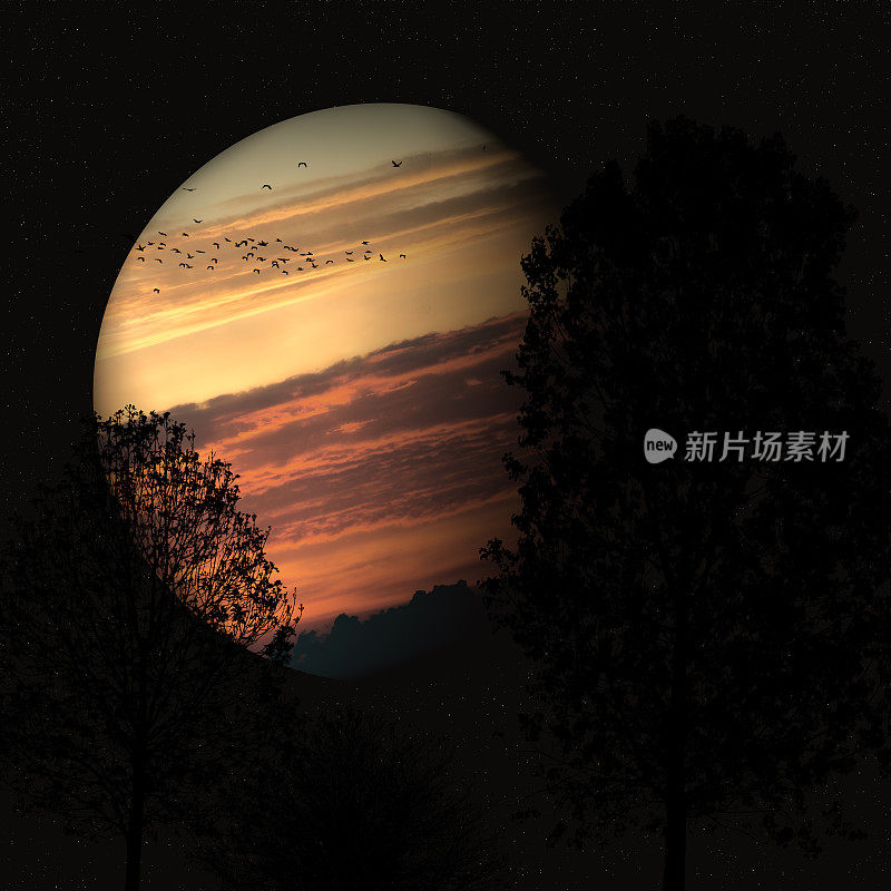 行星前的树木剪影-木星-日落行星