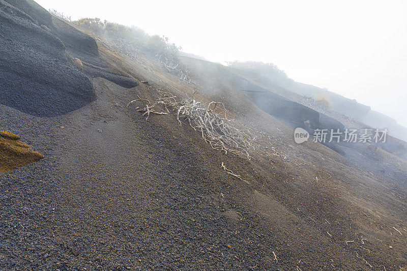 泰德国家公园，泰德大道。多色火山岩。特内里费,加那利群岛。