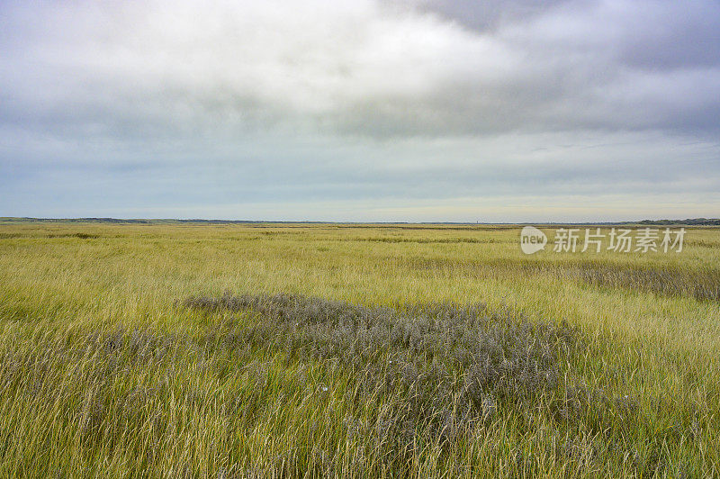 荷兰瓦登海地区特塞尔岛海滩上的斯劳特山谷