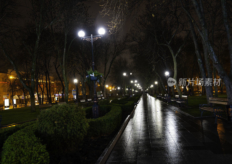 雨后的夜城