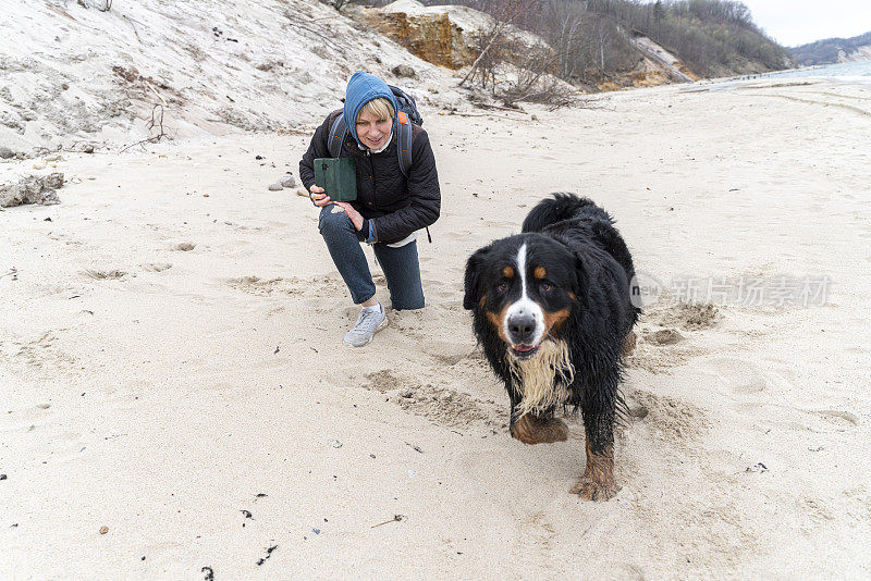 凉爽的春日，在海边遛狗。戴蓝色兜帽的金发女子单膝跪在沙滩上，用智能手机给她的狗拍了张照片。这只伯恩山犬正看着镜头。