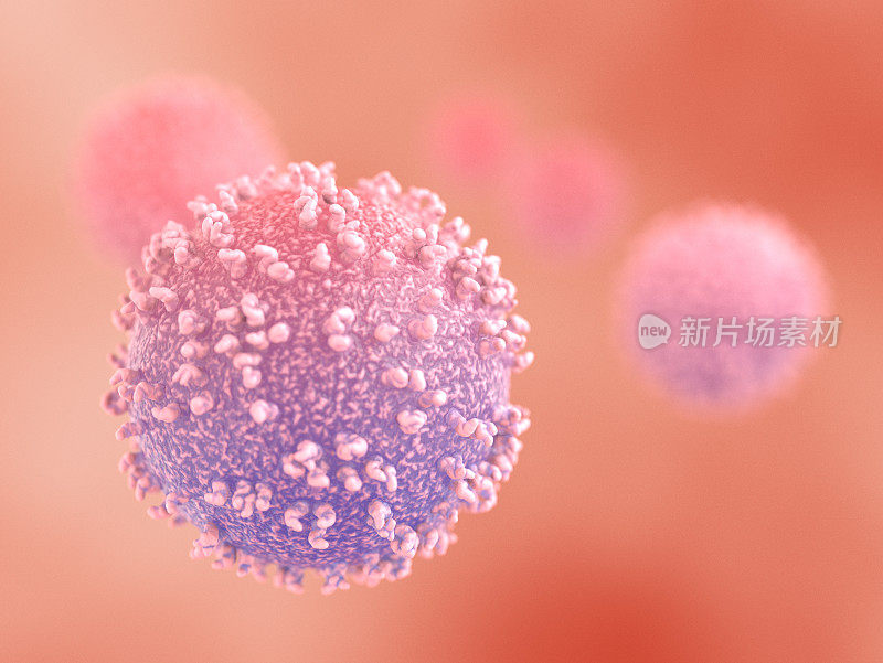 人体免疫系统中的淋巴细胞