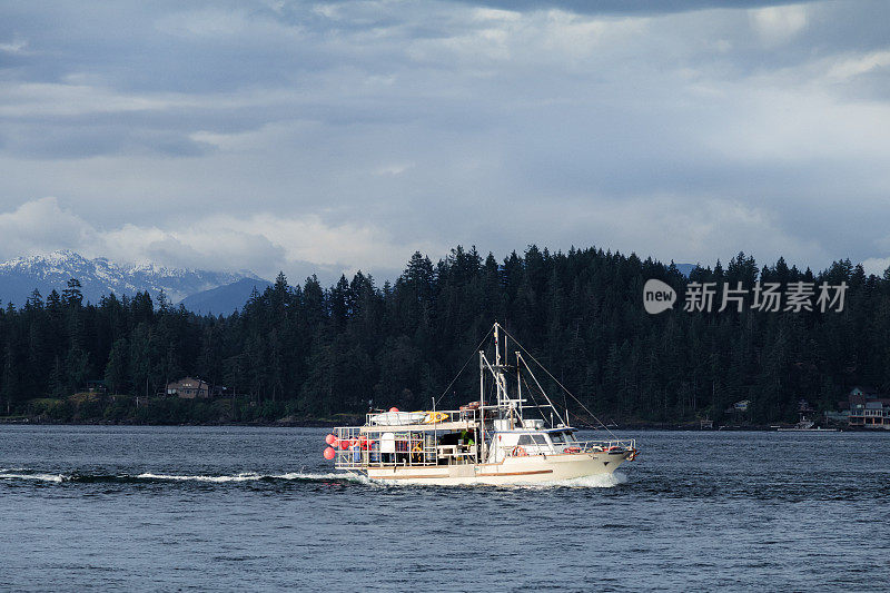 沿着海岸线的渔船