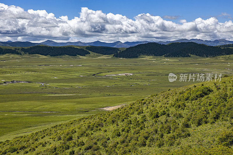 中国四川阿坝藏族羌族自治州的草原