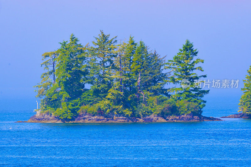 Tofino、加拿大