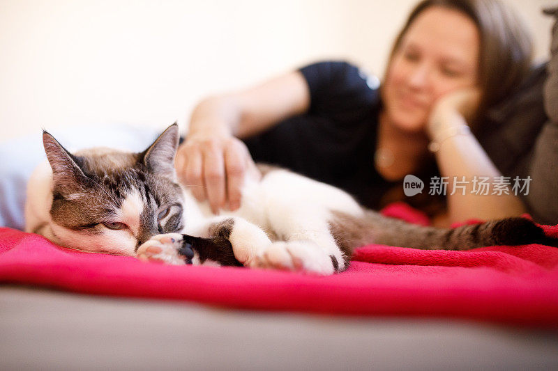 女人在沙发上爱抚睡眼惺忪的猫咪