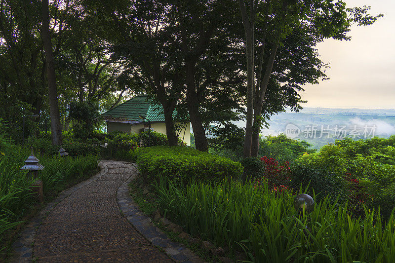 泰国呵叻府考雅伊国家公园热带雨林美丽的风景晨景