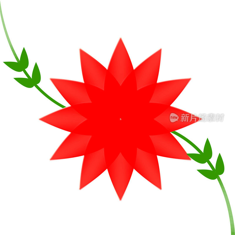 特写红色的花与藤和绿叶艺术在白色背景。