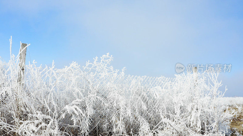 晴朗的冬季天空和覆盖着霜雪的植物和栅栏-冬日景观