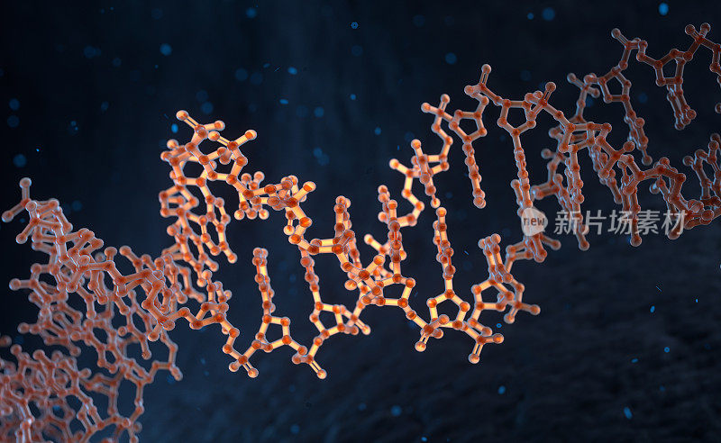 螺旋状的人类DNA链