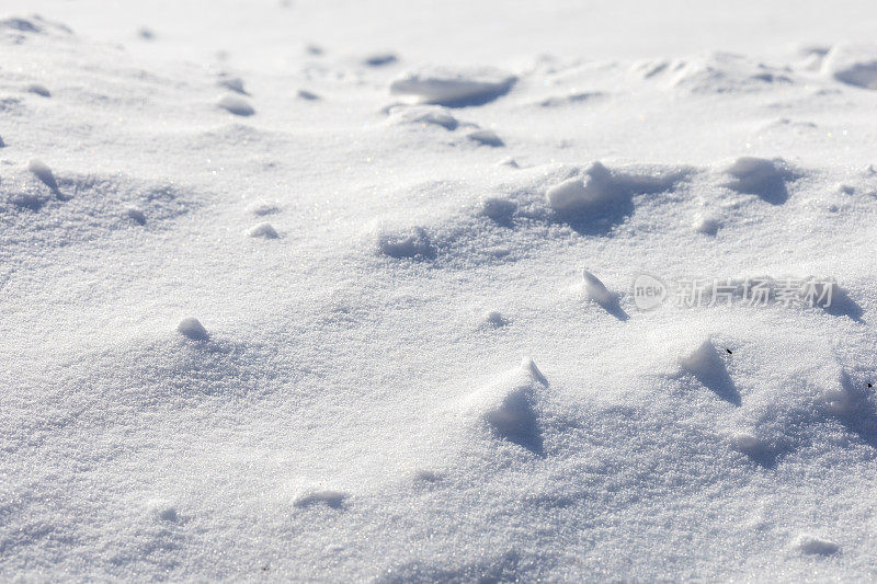 霜天里的雪堆