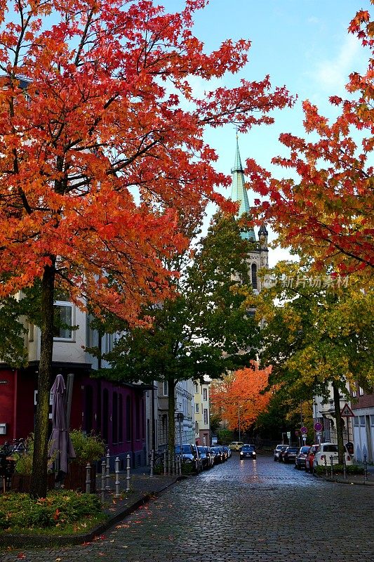 德国北莱茵-威斯特法伦州亚琛村庄公路沿线美丽的秋天树木