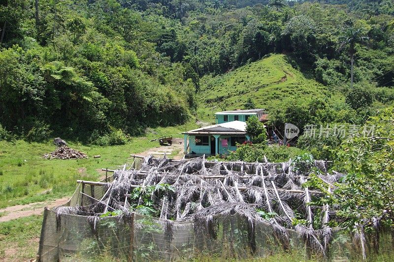 古巴-圣魂省-野生自然和居住