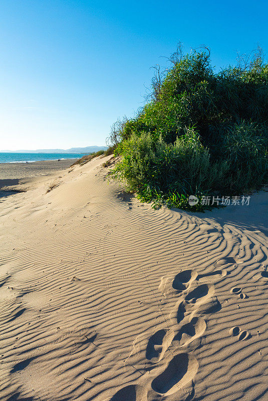 2013年9月13日，意大利阿格里根托，阿格里根托海岸的自然保护区