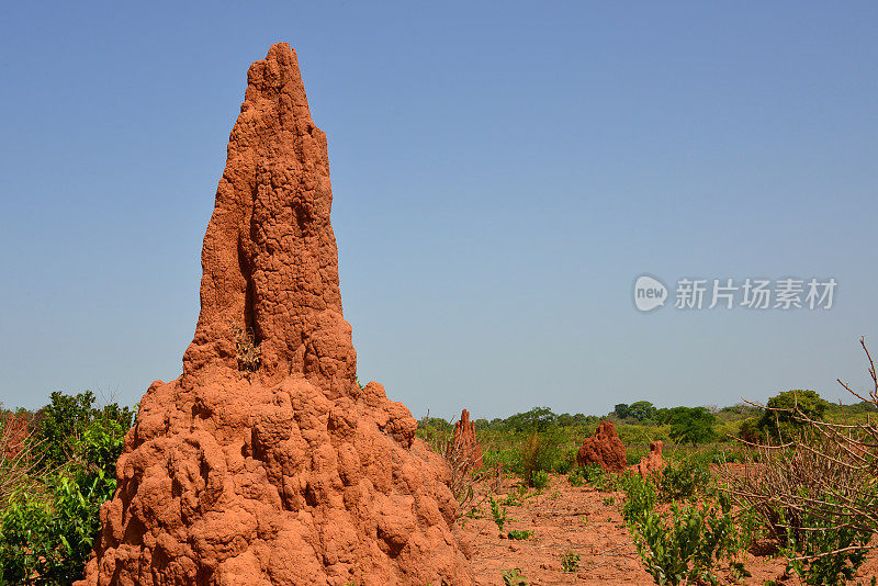 巨型白蚁丘，Biombo地区，几内亚比绍