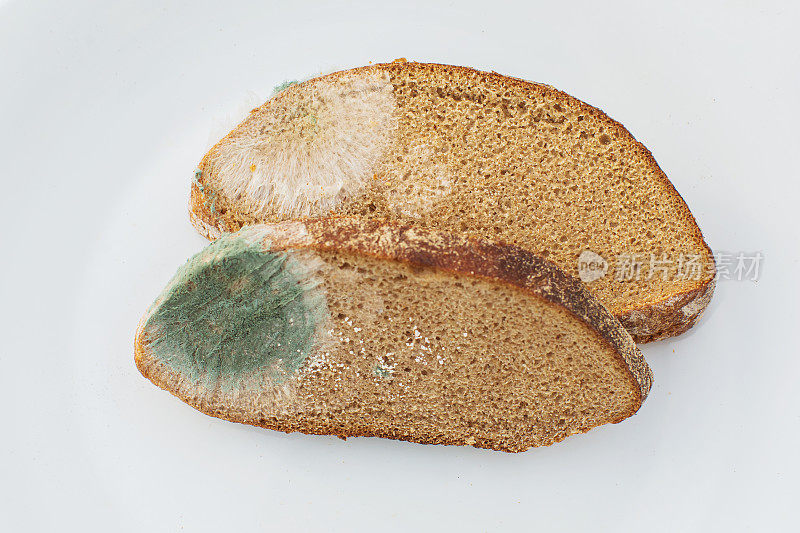 白色背景面包上的霉菌被隔离。板