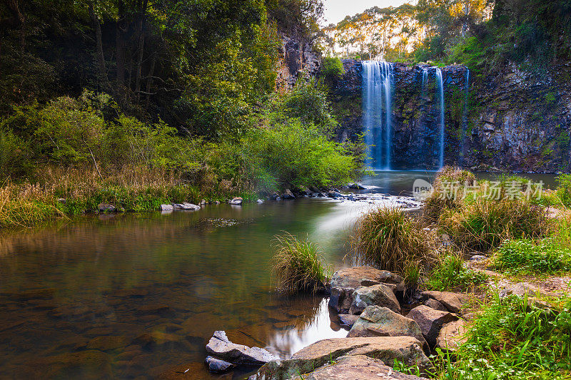 Dorrigo瀑布，新南威尔士州澳大利亚