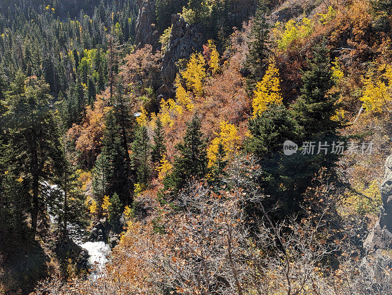 熔岩露头和峡谷Kolob山