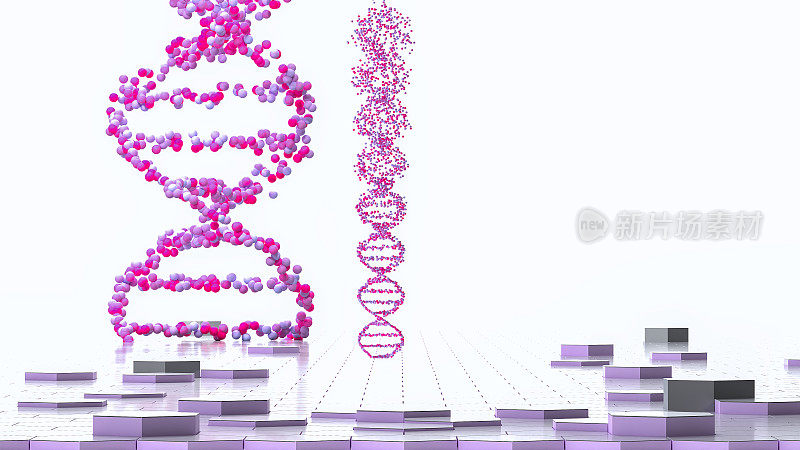 粉红色的dna